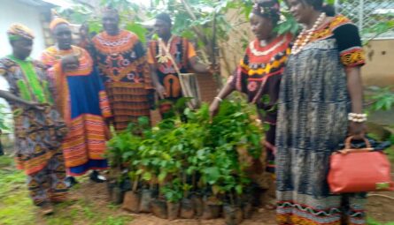 Mayor Ngwakong on his usual activity before becoming Mayor distributing environmental friendly trees to Bafut communities such as Agyati, Njinteh, Njibujang, Ntabuwe, Nsem and alot more with each community benefiting from 200 trees